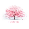 Beautiful cherry blossom tree Royalty Free Stock Photo