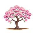 Beautiful cherry blossom tree with pink flowers. Sakura illustration.