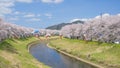 Beautiful cherry blossom trees and carp streamers blooming along the embankment in spring Royalty Free Stock Photo