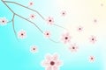 Beautiful cherry blossoms sakura tree brunch on blue sky background in vector