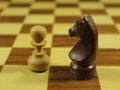 Beautiful chess game with different figures strategy fun culture Royalty Free Stock Photo