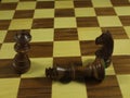 Beautiful chess game with different figures strategy fun culture