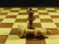 Beautiful chess game with different figures strategy fun culture Royalty Free Stock Photo