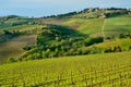 Beautiful Chianti landscape, Tuscany Royalty Free Stock Photo