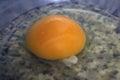 Beautiful chicken egg to beat and tarnish food