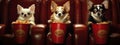 Beautiful Chihuahua Dogs with Food Snacks in Bucket Sitting on Luxurious Chairs in a Cinema extreme closeup. Generative AI