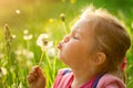 Girl blowing away dandelion flower in spring Royalty Free Stock Photo