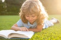 Beautiful child boy book on grass background. Kids reading book in park. Royalty Free Stock Photo