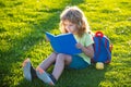 Beautiful child boy book on grass background. Kids reading book in park. Learning concept. Royalty Free Stock Photo