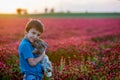 Beautiful child with cute bunny in gorgeous crimson clover field on sunset Royalty Free Stock Photo