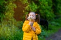Beautiful child girl with ponytails in a yellow jacket holds white fluffy dandelions and smiles Royalty Free Stock Photo