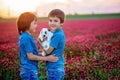 Beautiful child with cute bunny in gorgeous crimson clover field Royalty Free Stock Photo