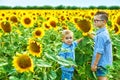 Beautiful children in the field with sunflowers Royalty Free Stock Photo