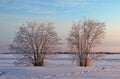 Beautiful and chilly winter day in LuleÃÂ¥ Royalty Free Stock Photo