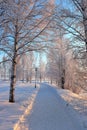 Beautiful and chilly winter day in LuleÃÂ¥ Royalty Free Stock Photo