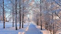 Beautiful and chilly winter day in LuleÃÂ¥ Royalty Free Stock Photo