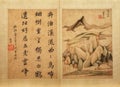 Beautiful Chinese calligraphy and painting, ancient art culture Royalty Free Stock Photo