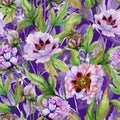 Beautiful Chinese peony with green leaves on bright purple background. Seamless floral pattern. Watercolor painting.