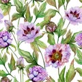 Beautiful Chinese peony with green leaves on white background. Seamless floral pattern. Watercolor painting.