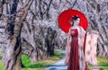 Beautiful Chinese woman wearing a red cheongsam with an umbrella in the cherry blossom garden