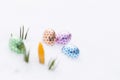 Beautiful chocolate easter eggs with yellow crocus buds on fresh Royalty Free Stock Photo