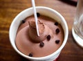 Beautiful chocolate ice cream with chocolate chips