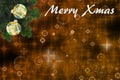 Beautiful christmas background with fir branches
