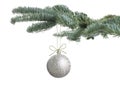 Beautiful Christmas ball hanging on fir tree branch against white background Royalty Free Stock Photo