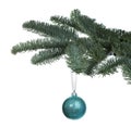 Beautiful Christmas ball hanging on fir tree branch against white background Royalty Free Stock Photo