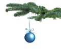 Beautiful Christmas ball hanging on fir tree branch against white background Royalty Free Stock Photo