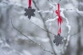 Beautiful Christmas closeup of black ceramic decoration shape of snowflakes with red ribbon on tree branches