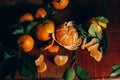 Beautiful Christmas decoration with tangerines in the night light garlands. Citrus still life. The symbol of the new year Royalty Free Stock Photo