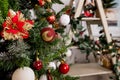 Beautiful christmas flower , red and white balls hanging on christmas tree.Christmas decorations. New Year decor for living room. Royalty Free Stock Photo