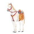 Beautiful christmas image with cute hand drawn watercolor saint nocolas white horse with gifts . Stock illustration.