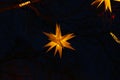 Beautiful Christmas lights in shape of stars hanging from trees in evening, low angle view