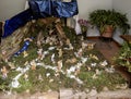 Beautiful Christmas nativity scene with holy family in a handmade wooden old stable, Italian traditional Presepio or Presepe