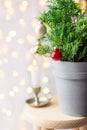 Beautiful Christmas New Year Background. Decorated potted juniper tree decorated with red balls golden garland lights. Lit candle Royalty Free Stock Photo