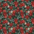 Beautiful Christmas seamless pattern with poinsettia flowers, red holly berries and leaveson green background. Winter Royalty Free Stock Photo