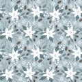 Beautiful Christmas seamless pattern with poinsettia flowers. White berries, acorns and fir tree branches on blue Royalty Free Stock Photo