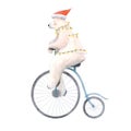 Beautiful christmas stock illustration with hand drawn watercolor cute polar bear on bike.