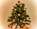 Beautiful Christmas tree, decorated with fresh flowers and festive sparkles Royalty Free Stock Photo