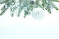 Christmas tree decorations hanging on green snowy branch against white winter background Royalty Free Stock Photo