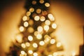 beautiful christmas tree golden lights in festive room. christmas abstract background, blur defocused bokeh of yellow glowing de Royalty Free Stock Photo