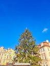 A beautiful Christmas tree located in the Old Town Square in Prague, Czech. Royalty Free Stock Photo