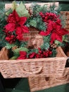 A beautiful Christmas wreath inside a whicker basket Royalty Free Stock Photo