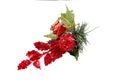 Beautiful christmass decorations, with red leafs in a white background Royalty Free Stock Photo