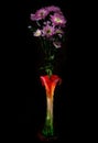 Beautiful chrysanthemum flower Royalty Free Stock Photo