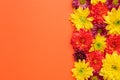 Beautiful chrysanthemum flowers on orange background, flat lay. Space for text Royalty Free Stock Photo