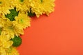 Beautiful chrysanthemum flowers on orange background, flat lay. Space for text Royalty Free Stock Photo