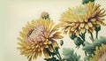 Beautiful chrysanthemum flowers on vintage paper background.